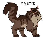 Tiger-Star