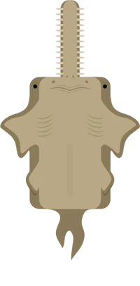 deeeepio sawfish 