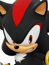 Shadow The Hedgehog