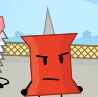 Pin -BFDI-