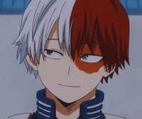 Shoto Todoroki 