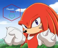 Knuckles The Echinda