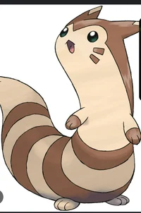 Furret