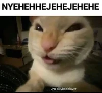 Enjoy the photo here