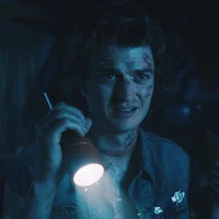 Steve Harrington 