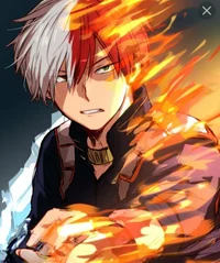 Shoto todoroki