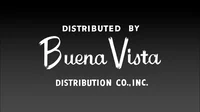 Buena vista V2
