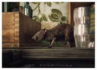 Rat life in Rdr2