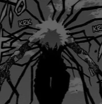 Shigaraki 