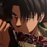Levi Ackerman 