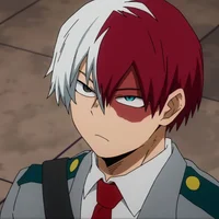 Shoto Todoroki