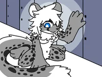 Snow leopard 
