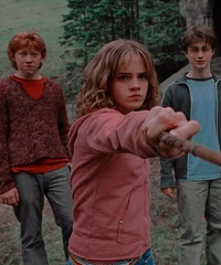 Harry ron y Hermione