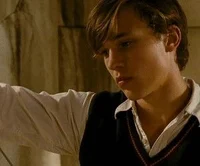 Peter Pevensie