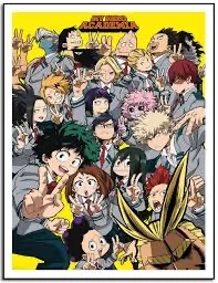 The MHA Alliance 