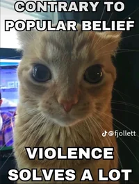 Violent Cat