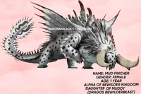 Female bewilderbeast