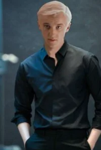 Draco the Mafia boss