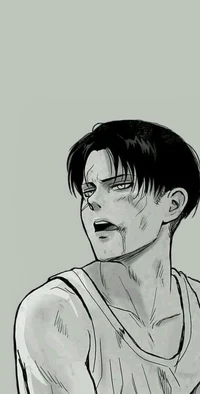 captain levi