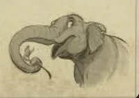 Lev Haiba PACHYDERM3