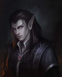 Dark Elf Husband