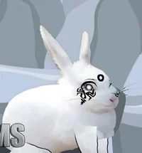 El venezolano conejo