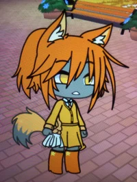 Shop worker fox coin