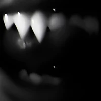 Remus Atticus Kallis