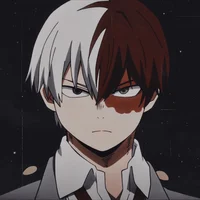 Shoto Todoroki