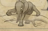 Lev Haiba ELEPHANT_3