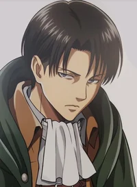 Levi