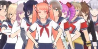 Rivales Yansim
