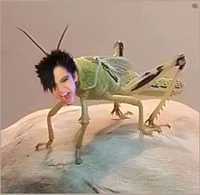 Bill kaulitz 