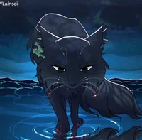 HollyLeaf