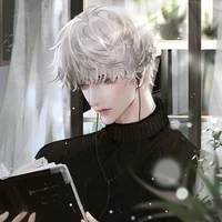Aiden
