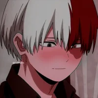 shoto todoroki