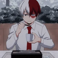Shoto todoroki 