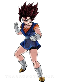 Fem Vegetto