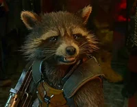 Rocket raccon 