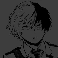 Shoto todoroki 