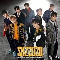 Skz criminal