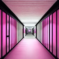 Backrooms level 7737