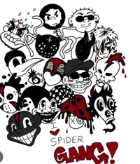 Spider gang