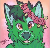 Furry alex