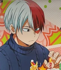 Shoto Todoroki