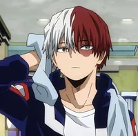 Shoto todoroki 