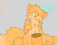 Catte