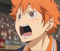 Shoyo Hinata
