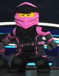 Pink Ninja