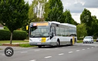 Bus 191 Rumst